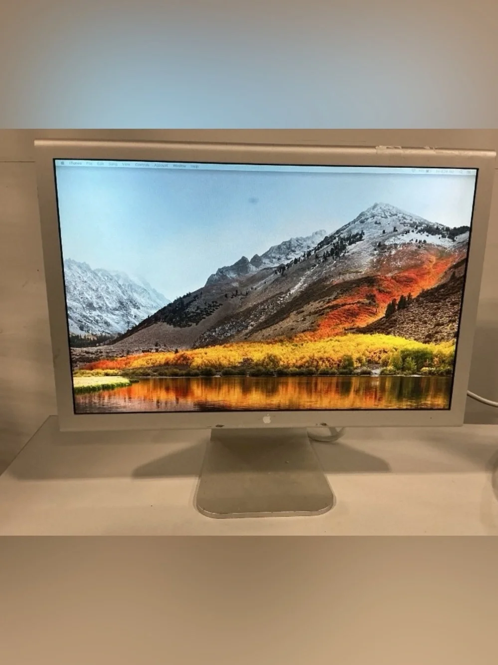 Apple 20-Inch Cinema Display (A1081)